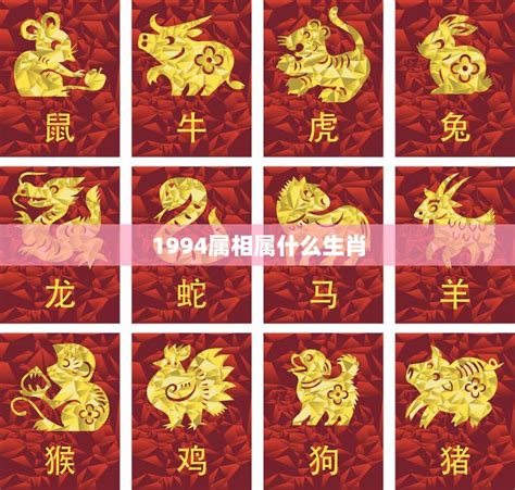 1969 属相|69年属于什么生肖的 69年的属相